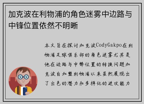 加克波在利物浦的角色迷雾中边路与中锋位置依然不明晰 加克波在利物浦的角色迷雾中边路与中锋位置依然不明晰